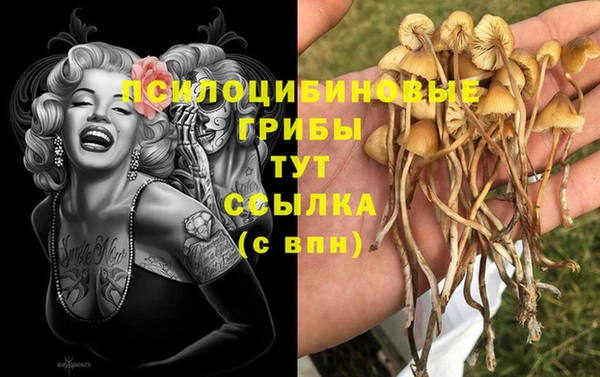 МДПВ Абдулино