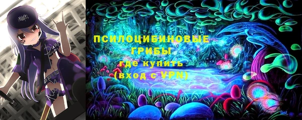 МДПВ Абдулино